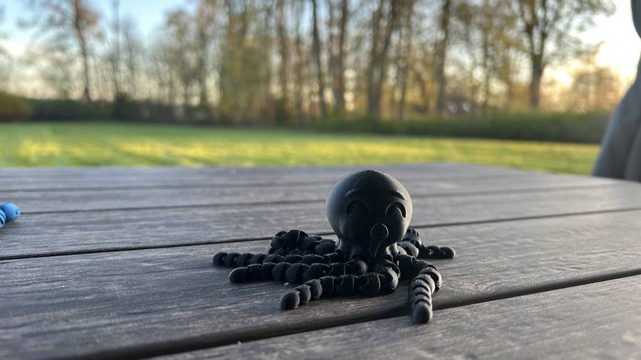 Flexible Octopus